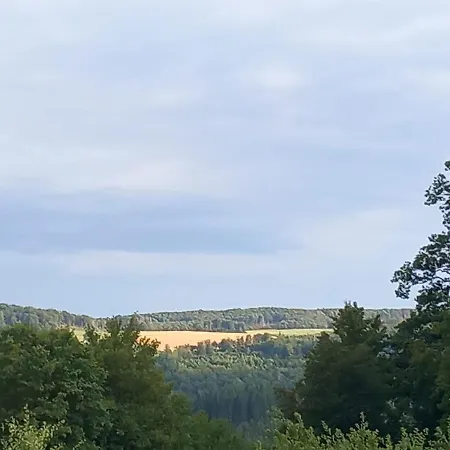 فندق Zum Burghof