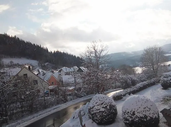 Zum Burghof 酒店 *